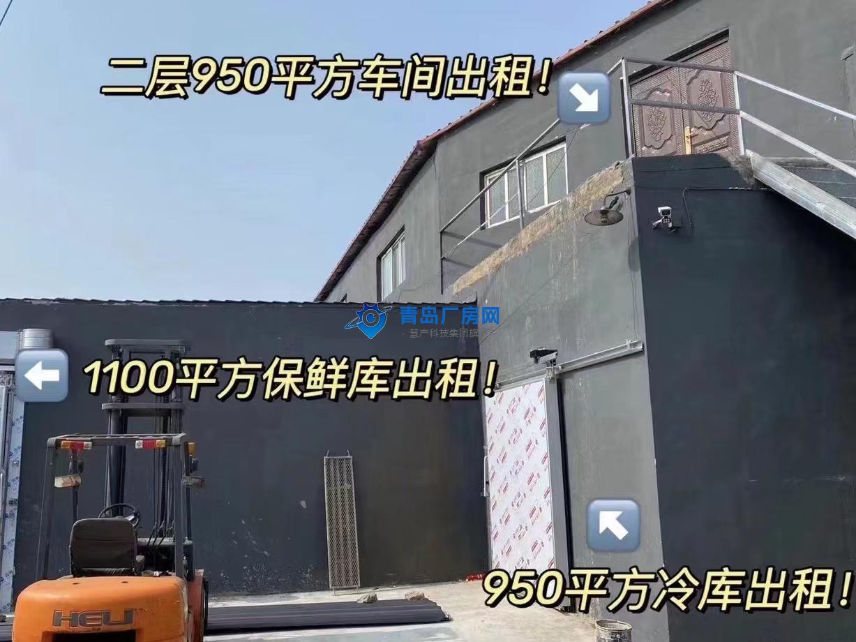 m_1739584599723621.jpg